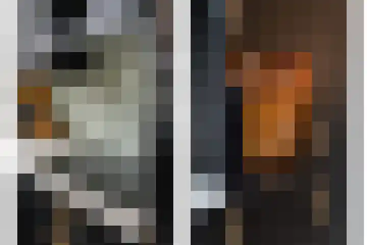 Roede 3 Nunspeet thumbnail 21