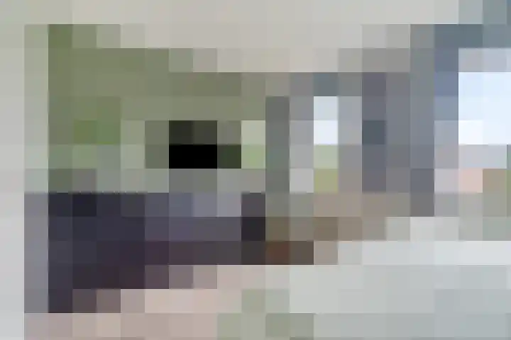 Roede 3 Nunspeet thumbnail 23