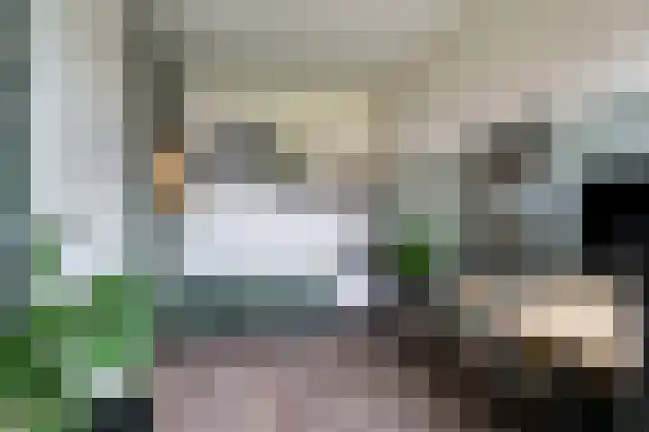 Roede 3 Nunspeet thumbnail 24