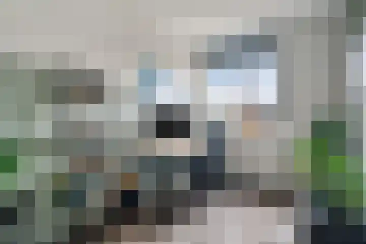 Roede 3 Nunspeet thumbnail 25