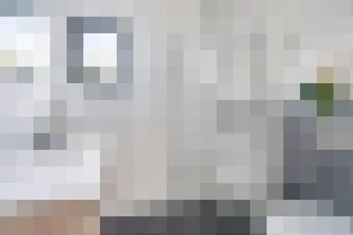 Roede 3 Nunspeet thumbnail 27