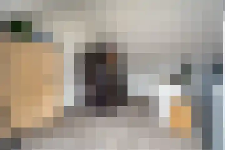 Roede 3 Nunspeet thumbnail 31