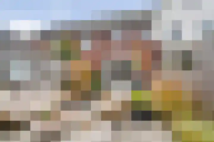 Roede 3 Nunspeet thumbnail 32