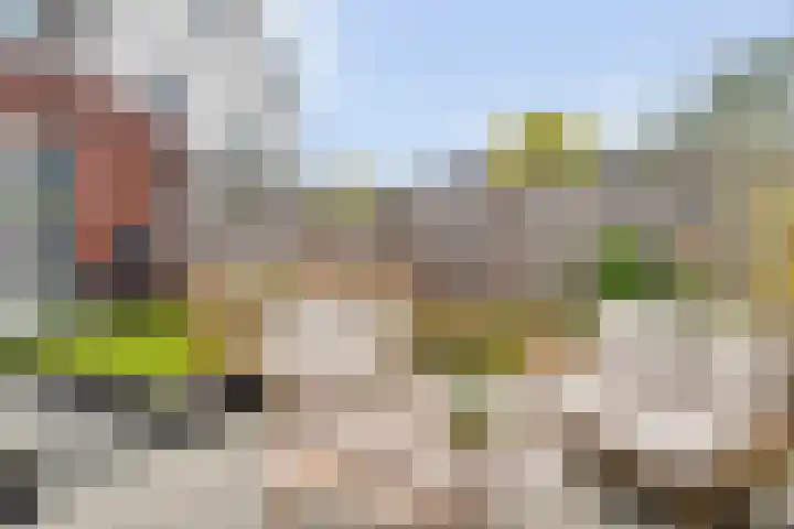 Roede 3 Nunspeet thumbnail 33
