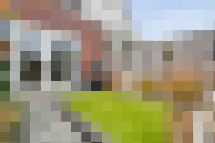 Roede 3 Nunspeet thumbnail 34