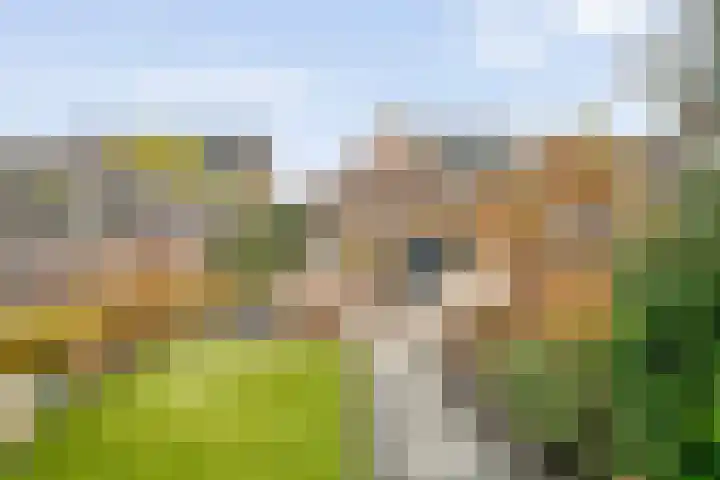 Roede 3 Nunspeet thumbnail 35
