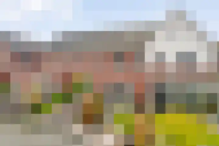 Roede 3 Nunspeet thumbnail 37