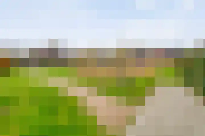 Roede 3 Nunspeet thumbnail 38