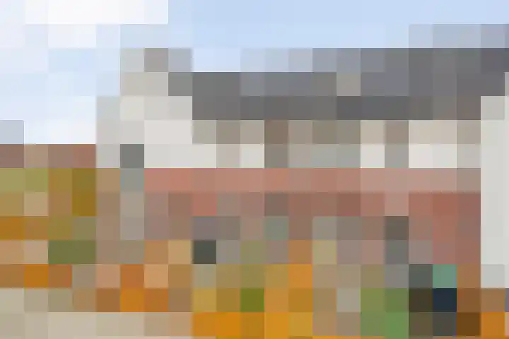 Roede 3 Nunspeet thumbnail 5