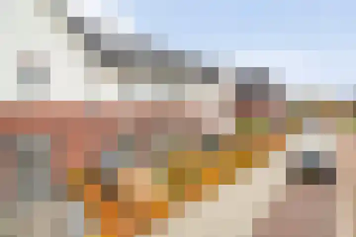 Roede 3 Nunspeet thumbnail 6