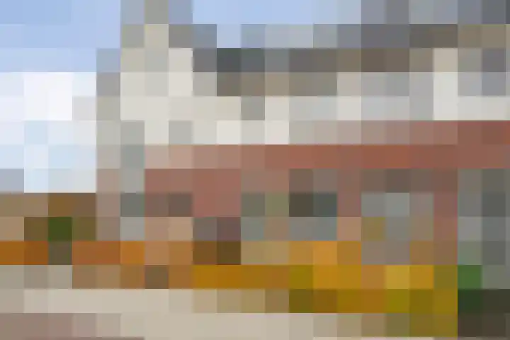 Roede 3 Nunspeet thumbnail 7