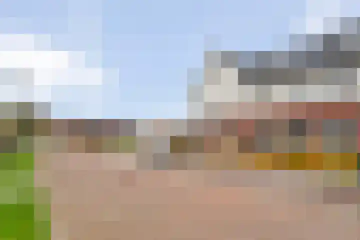Roede 3 Nunspeet thumbnail 8