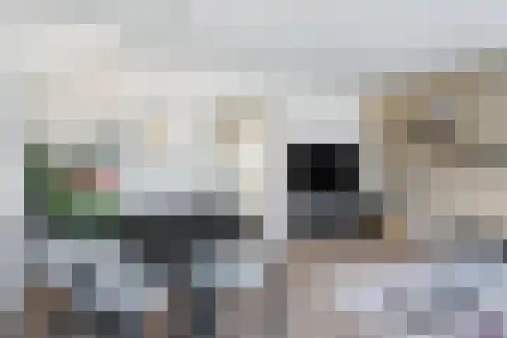 Roede 38 Heerenveen thumbnail 14