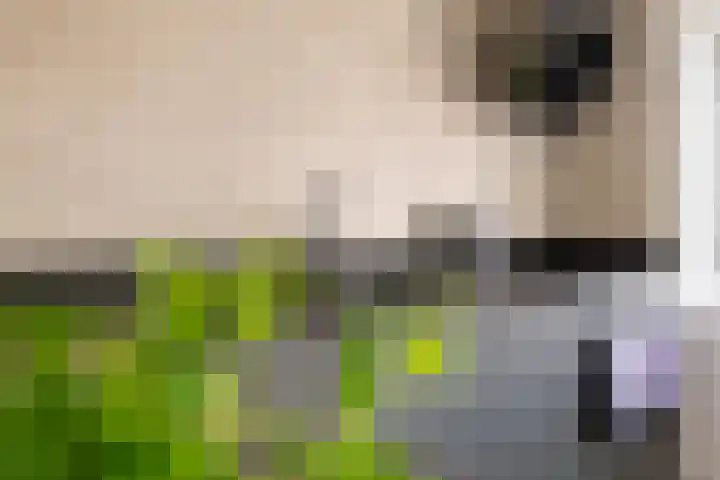 Roede 38 Heerenveen thumbnail 20