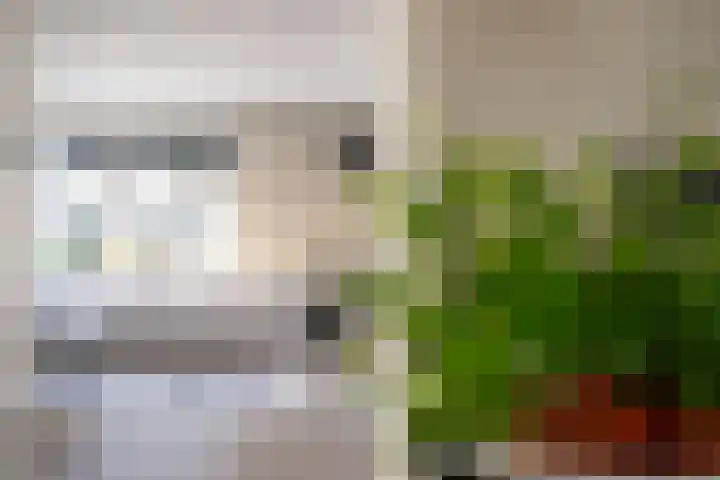 Roede 38 Heerenveen thumbnail 21