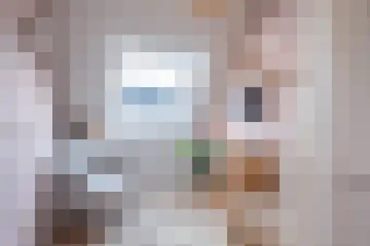 Roede 38 Heerenveen thumbnail 31