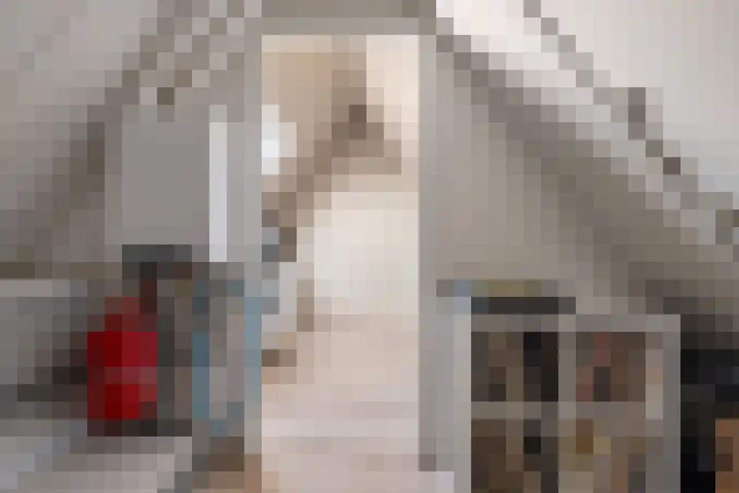 Roede 38 Heerenveen thumbnail 36