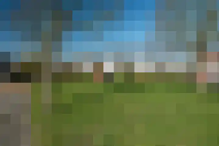 Roede 38 Heerenveen thumbnail 43