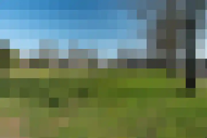 Roede 38 Heerenveen thumbnail 45