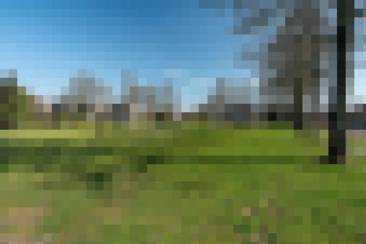 Roede 38 Heerenveen thumbnail 45