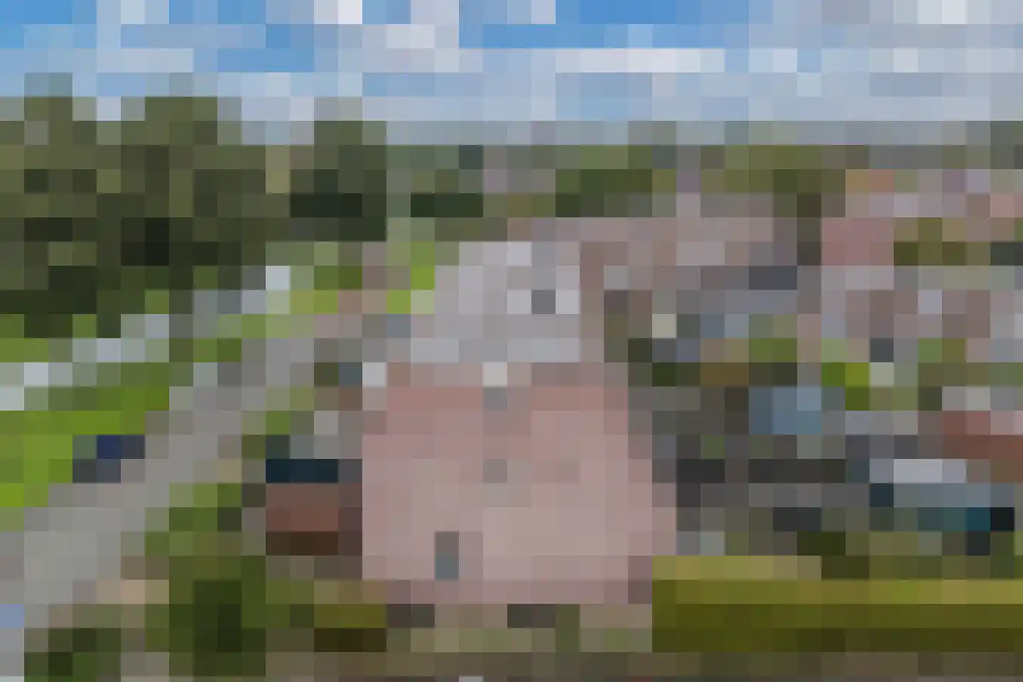 Roede 45 Heerenveen thumbnail 40