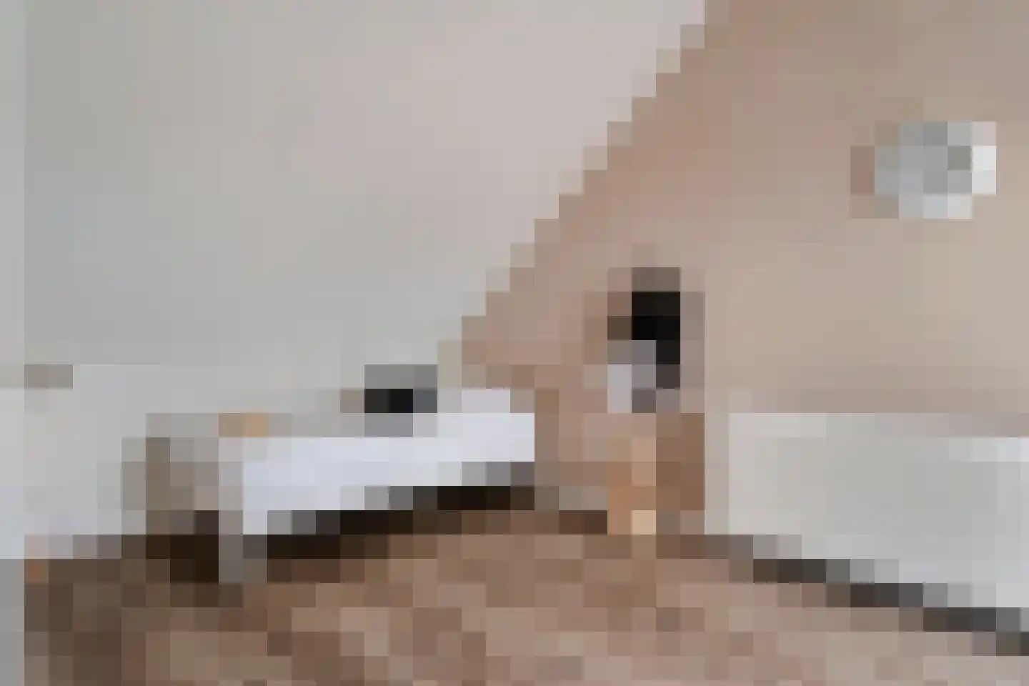 Roede 7 Nunspeet thumbnail 11