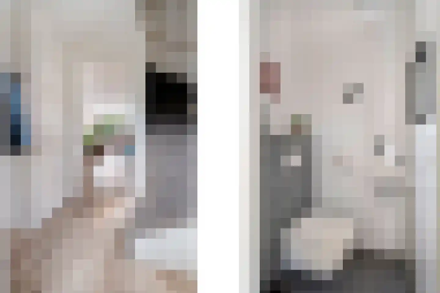 Roede 7 Nunspeet thumbnail 15