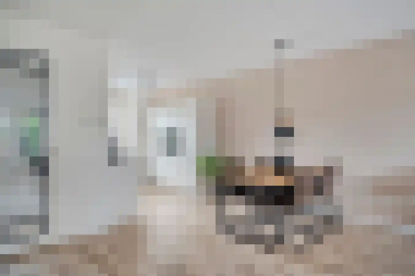 Roede 7 Nunspeet thumbnail 16
