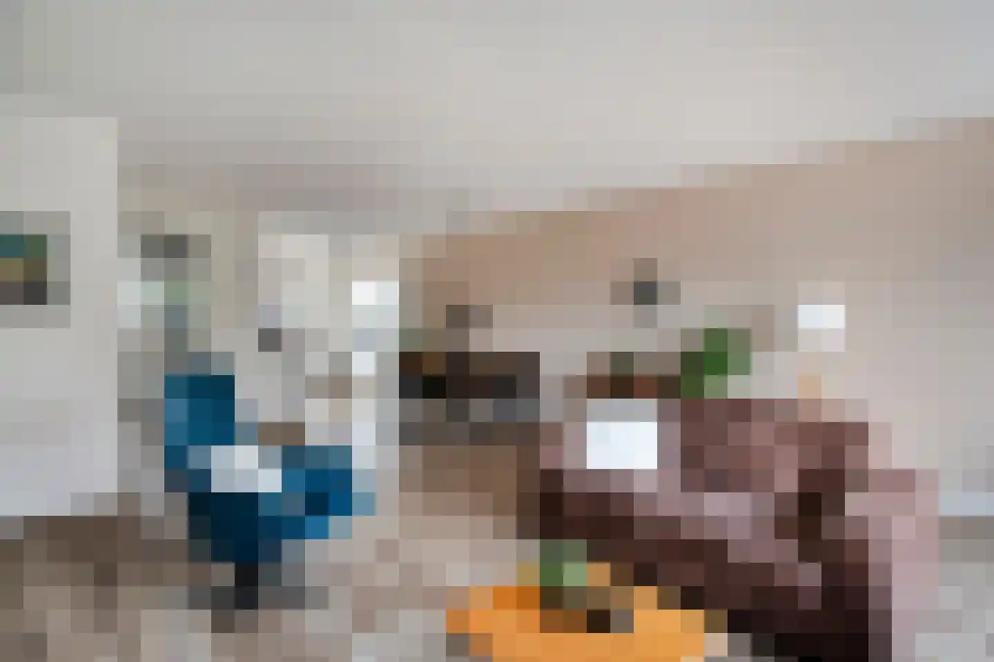 Roede 7 Nunspeet thumbnail 21