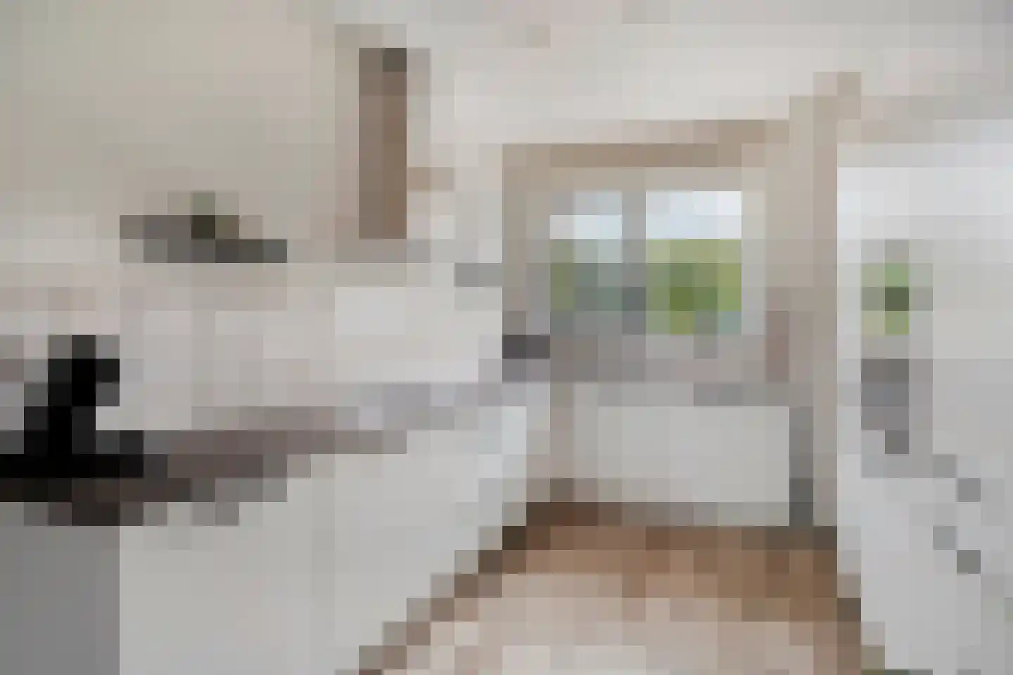 Roede 7 Nunspeet thumbnail 27