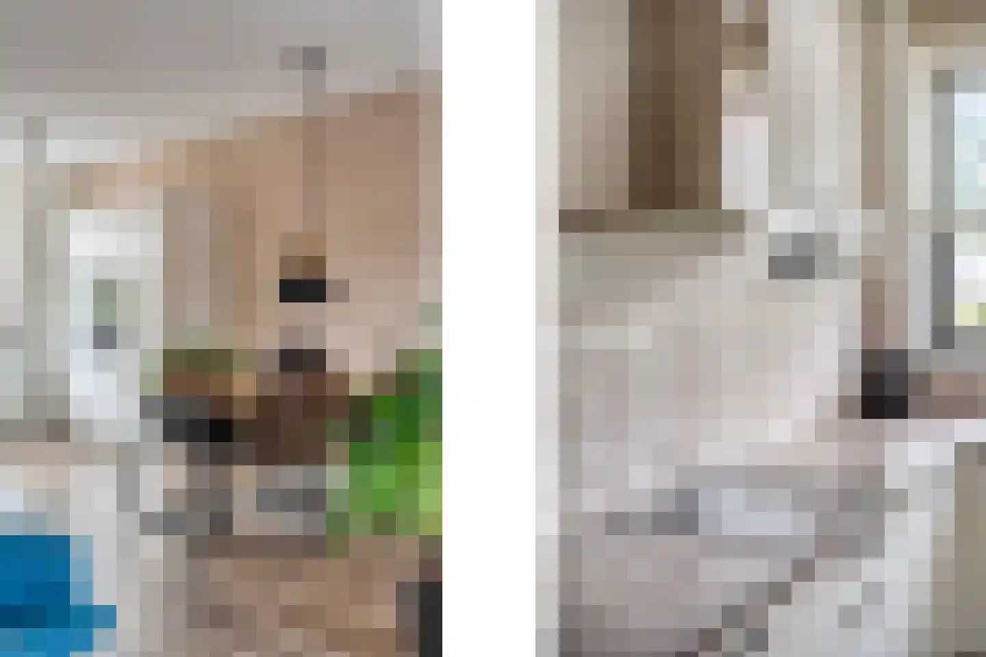 Roede 7 Nunspeet thumbnail 28