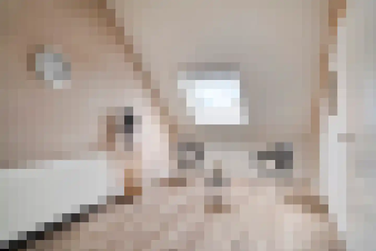 Roede 7 Nunspeet thumbnail 38