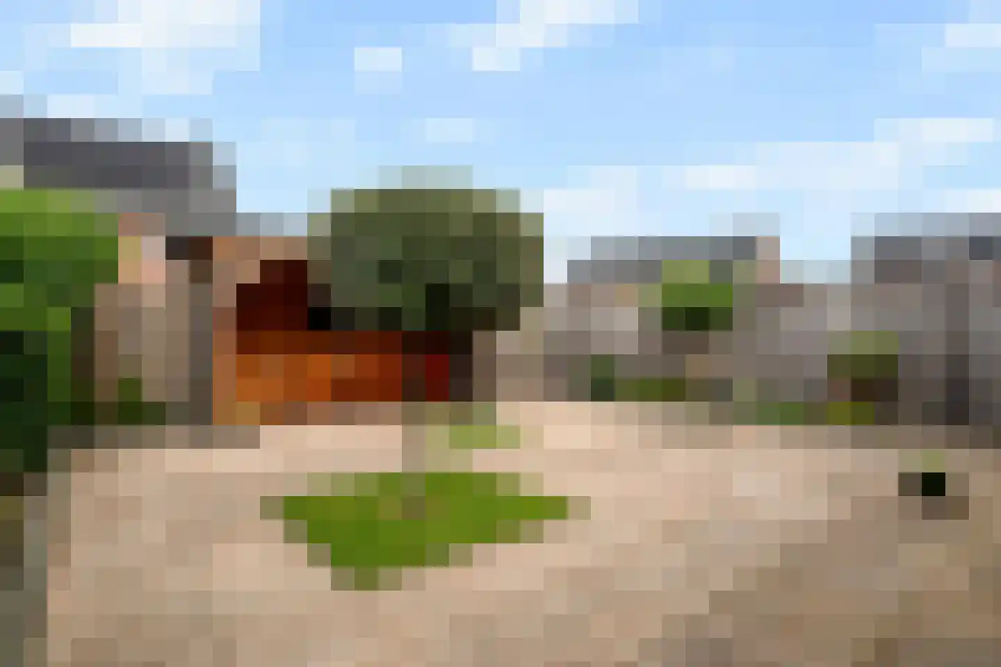 Roede 7 Nunspeet thumbnail 39