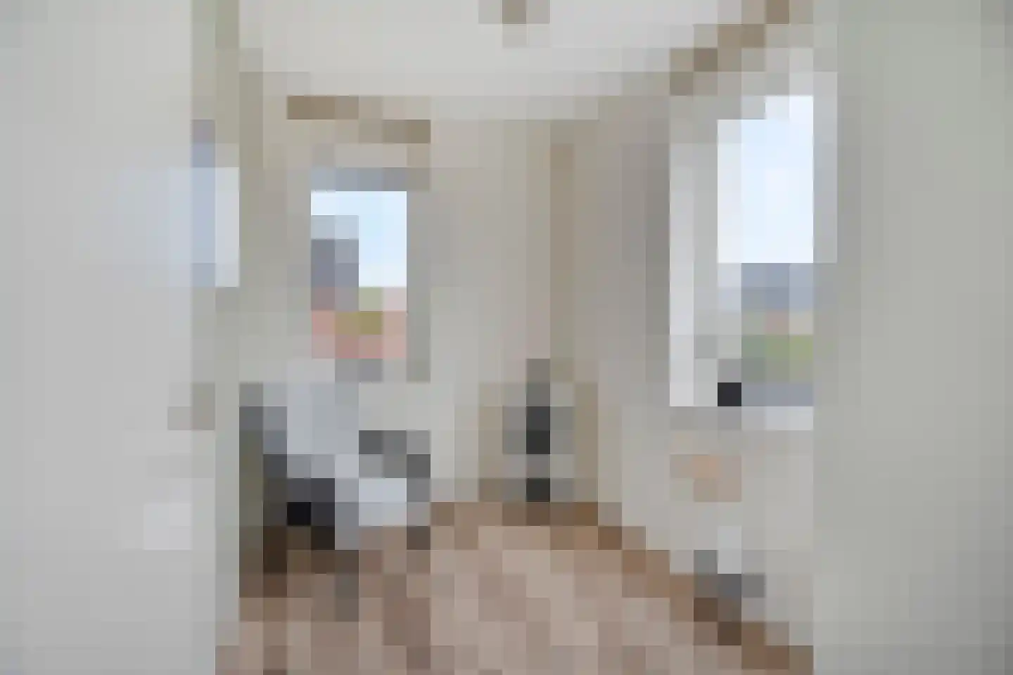 Roede 7 Nunspeet thumbnail 7