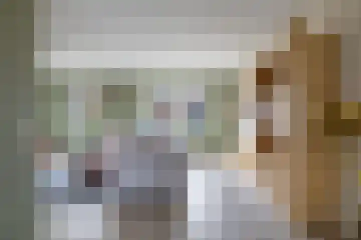 Roede 73 Heerenveen thumbnail 13