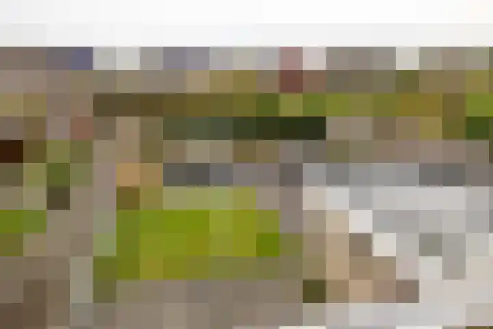 Roede 73 Heerenveen thumbnail 35