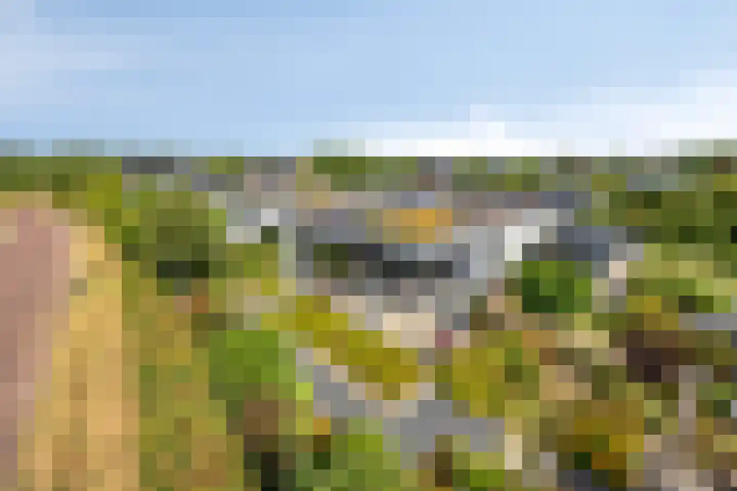 Roedenbergen 10 Diever