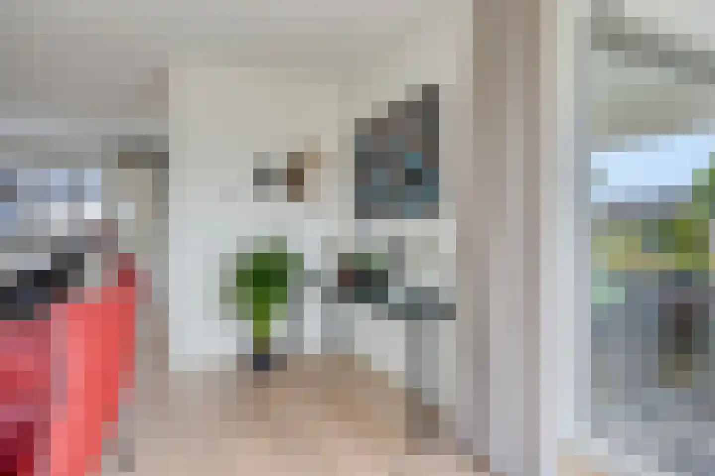 Roedenbergen 10 Diever thumbnail 14