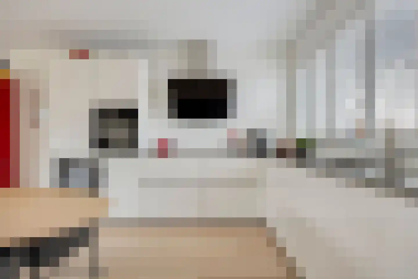 Roedenbergen 10 Diever thumbnail 17