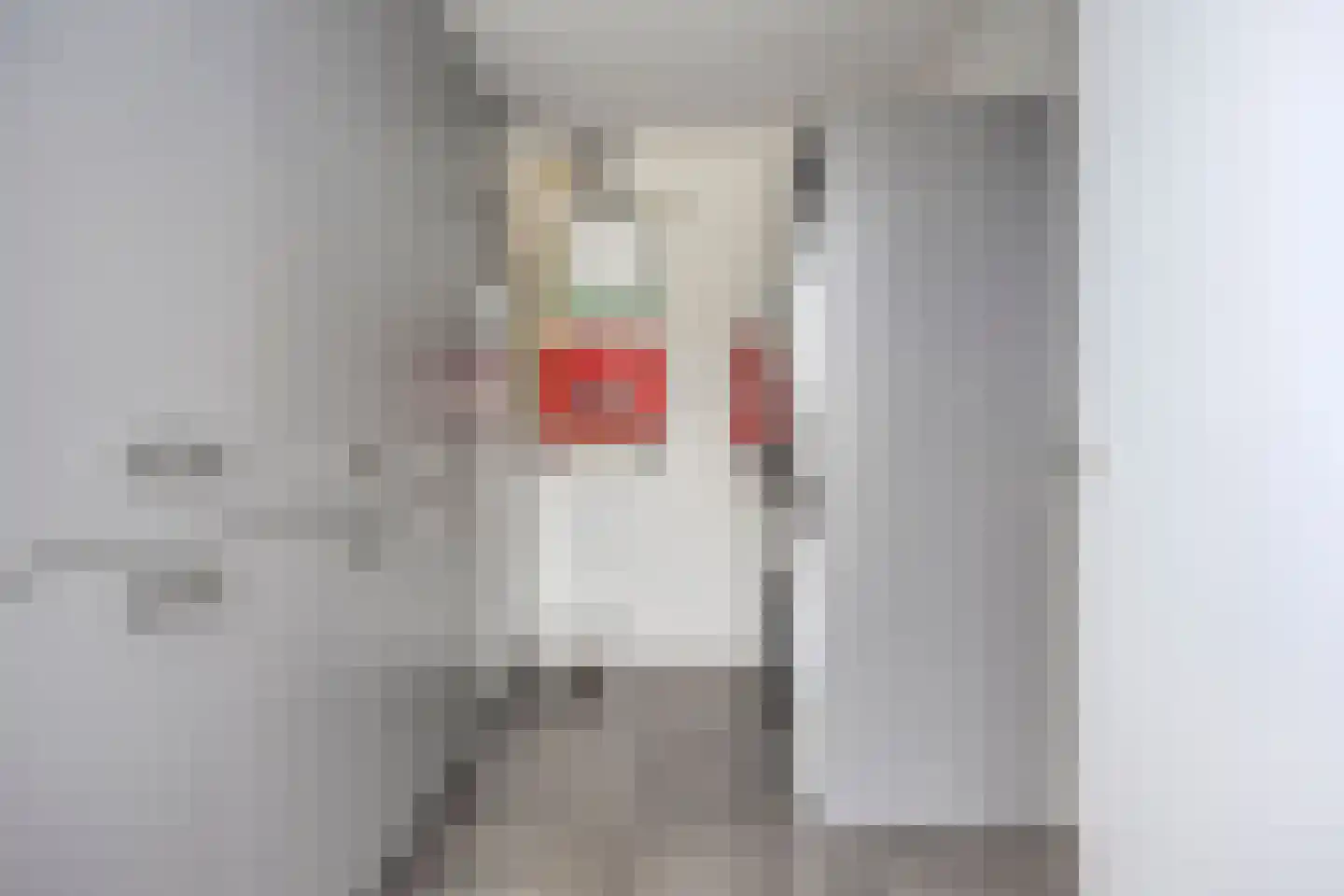 Roedenbergen 10 Diever thumbnail 28