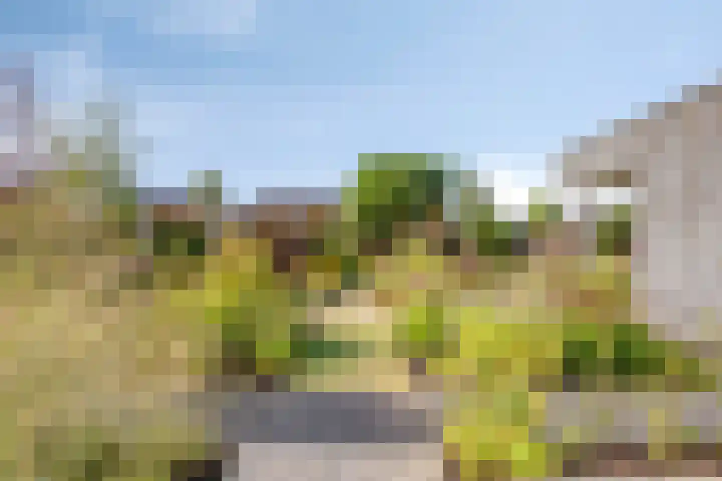 Roedenbergen 10 Diever thumbnail 32