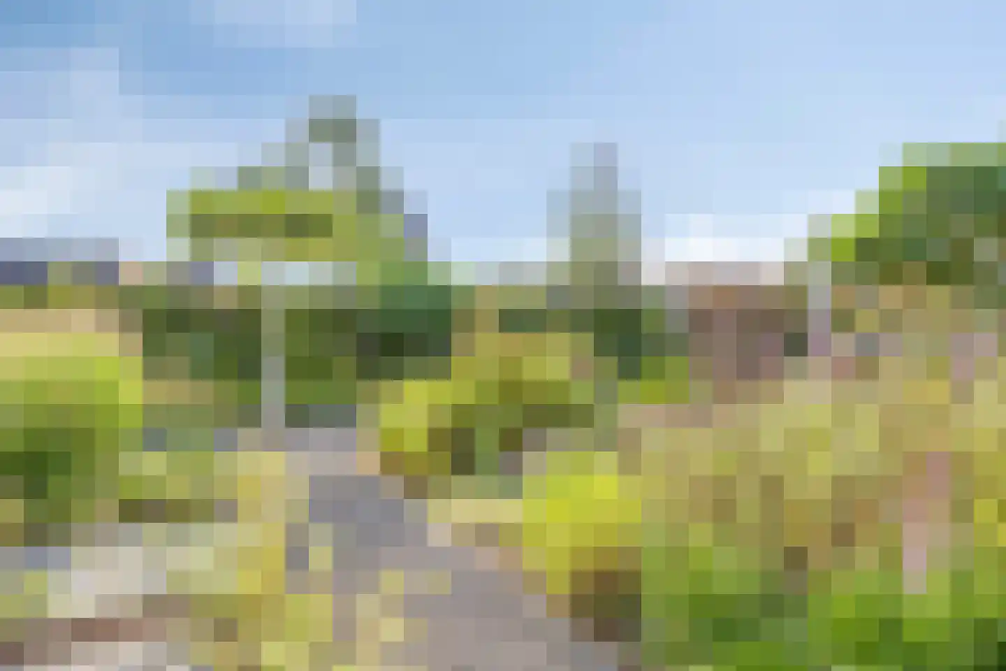 Roedenbergen 10 Diever thumbnail 33