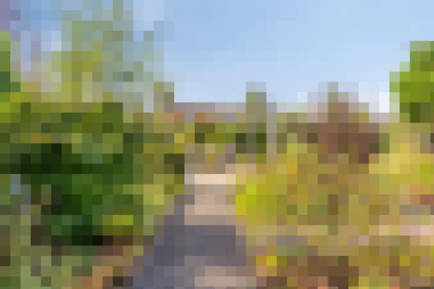 Roedenbergen 10 Diever thumbnail 34