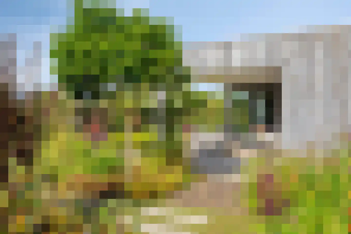 Roedenbergen 10 Diever thumbnail 36
