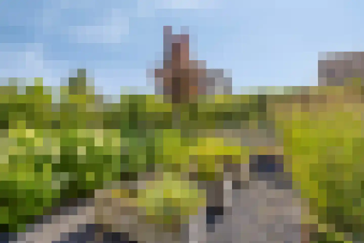 Roedenbergen 10 Diever thumbnail 44