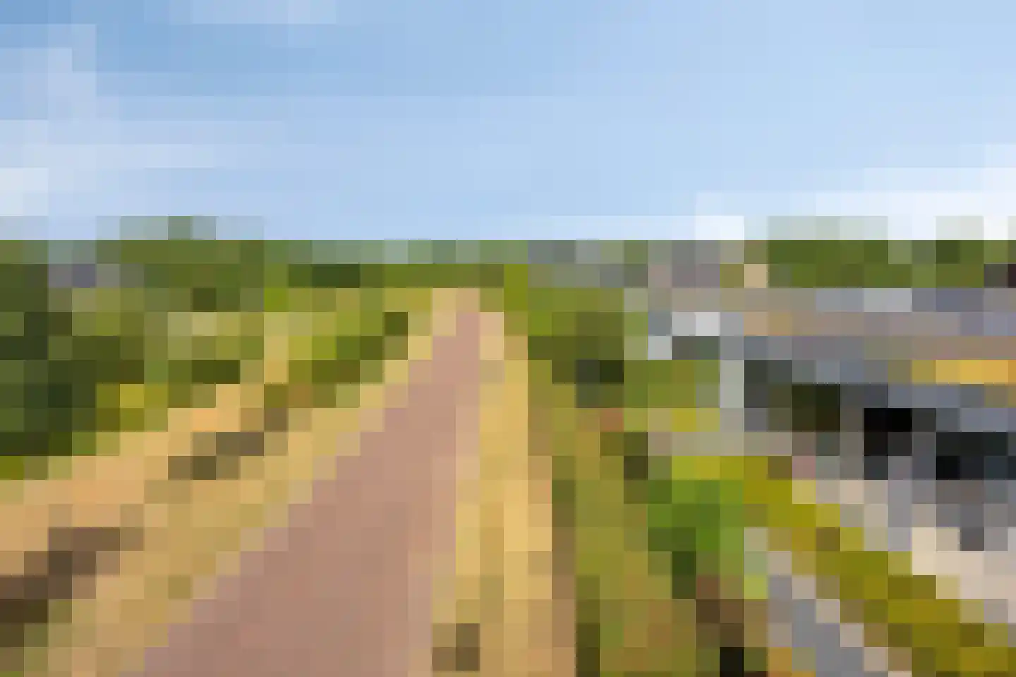 Roedenbergen 10 Diever thumbnail 46