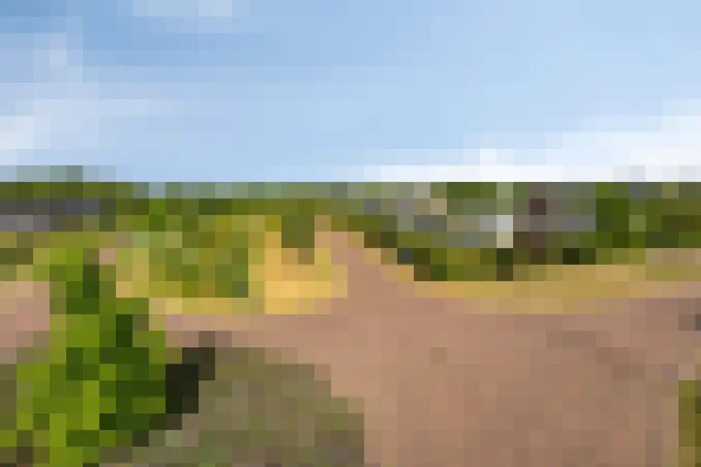 Roedenbergen 10 Diever thumbnail 47