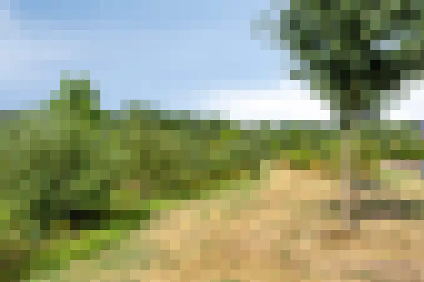 Roedenbergen 10 Diever thumbnail 51