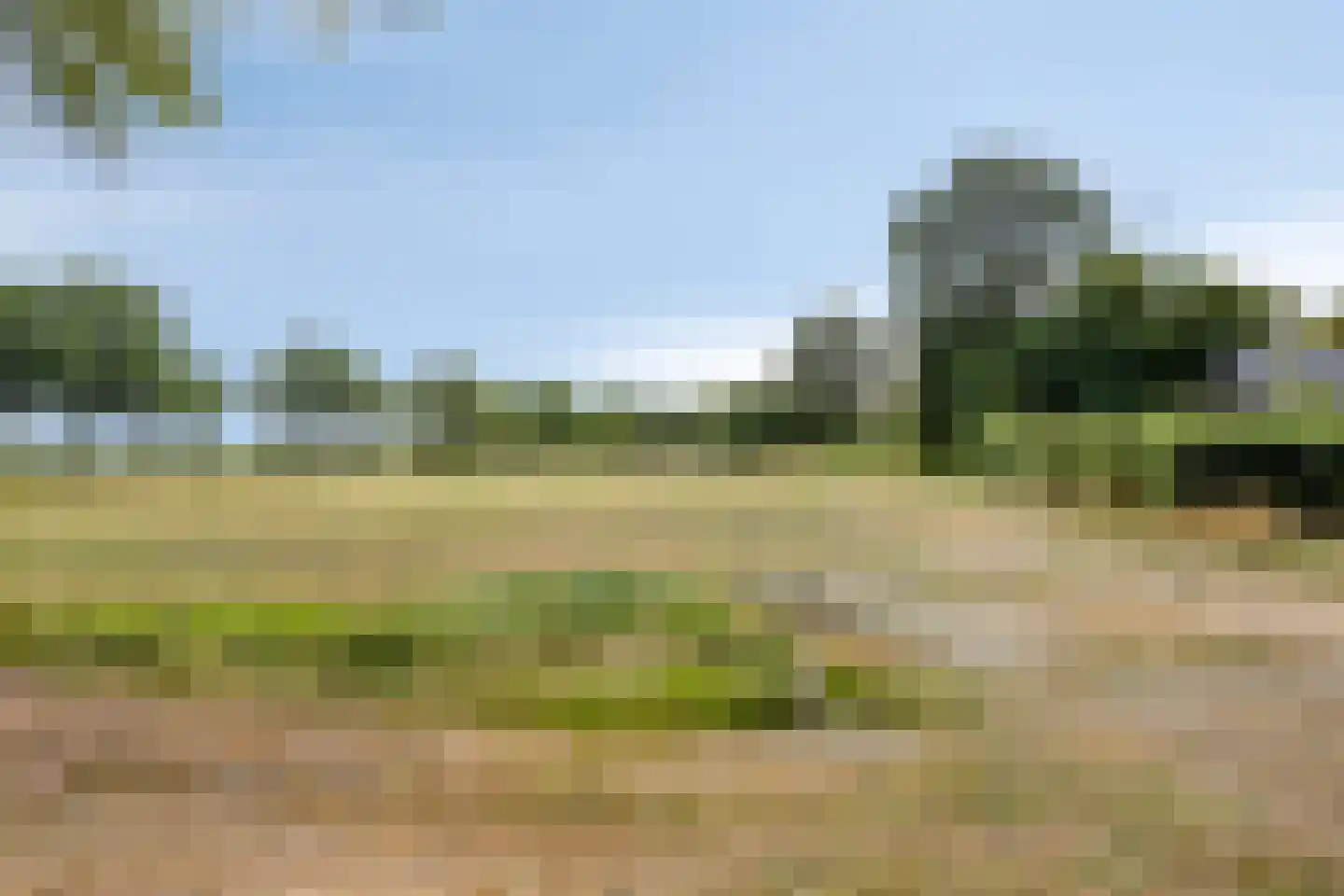 Roedenbergen 10 Diever thumbnail 52