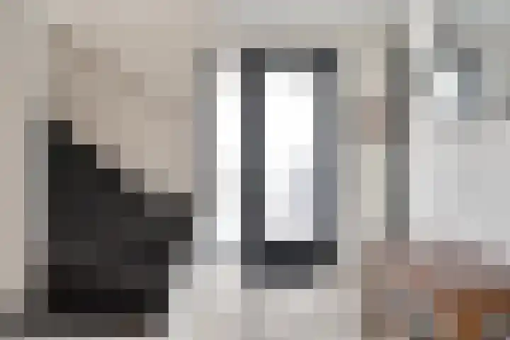 Roedenbergen 3 Diever thumbnail 11